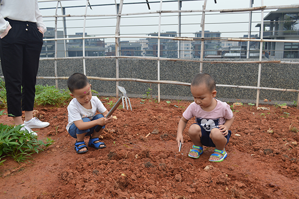 太陽能路燈，太陽能路燈廠家，太陽能路燈價(jià)格