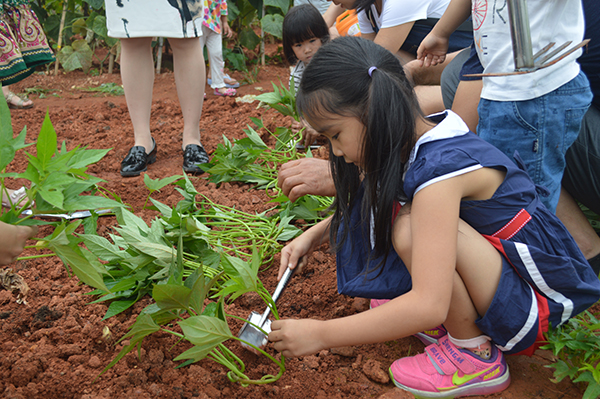太陽能路燈，太陽能路燈廠家，太陽能路燈價(jià)格